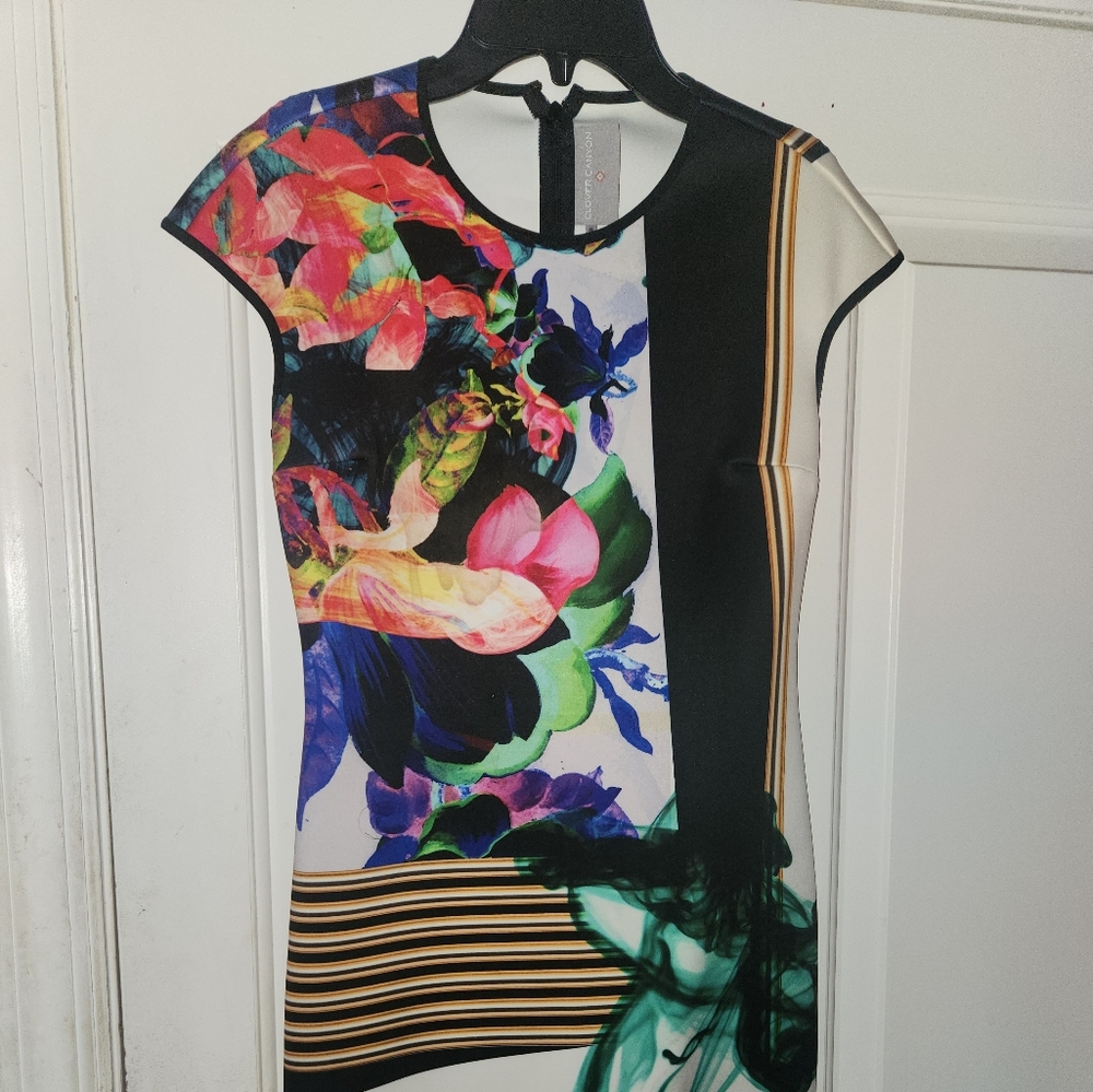 Clover Canyon Dress